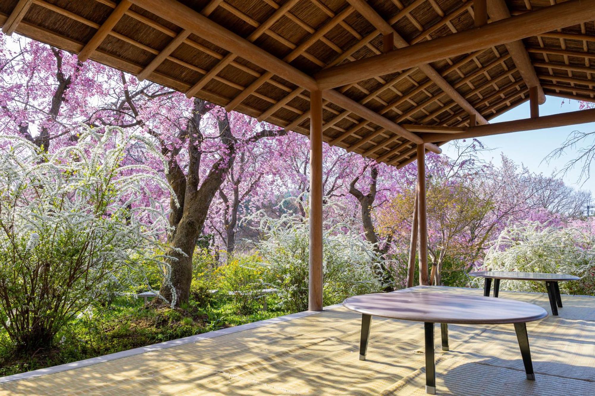 Kyoto Brighton Hotel Exterior foto The Japanese tea house